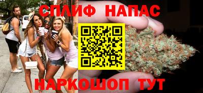 сатива Конаково