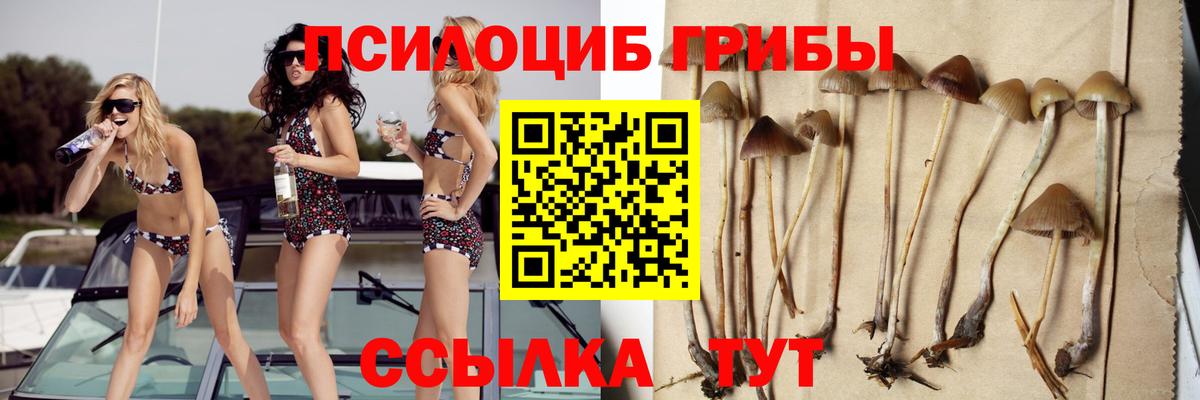 Галлюциногенные грибы Cubensis Киселёвск