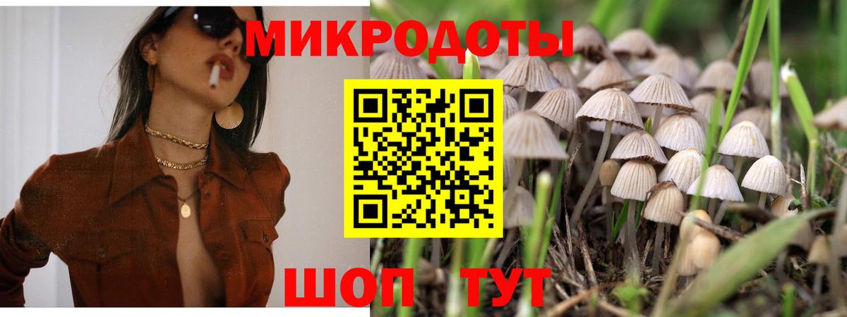 Галлюциногенные грибы мицелий  Галлюциногенные грибы Psilocybe  наркота  Киселёвск  Вход с VPN 