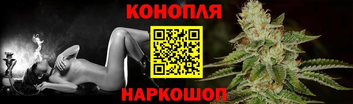 Бошки марихуана сатива  Вход с VPN  Марихуана планчик  Марихуана тримм  Киселёвск 